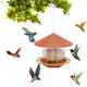 Automatic Outdoor Bird Feeder