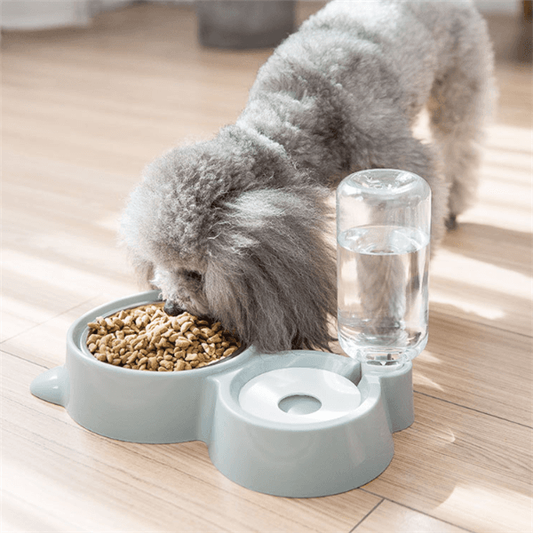 Automatic Water Refill Dog Bowl