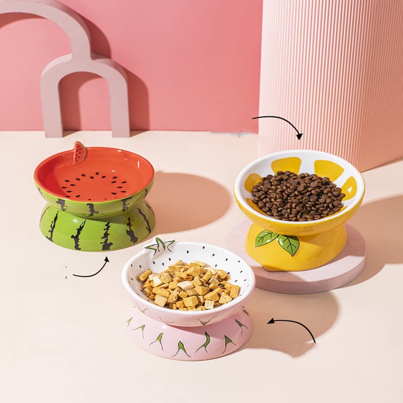 Ceramic Pet Bowl