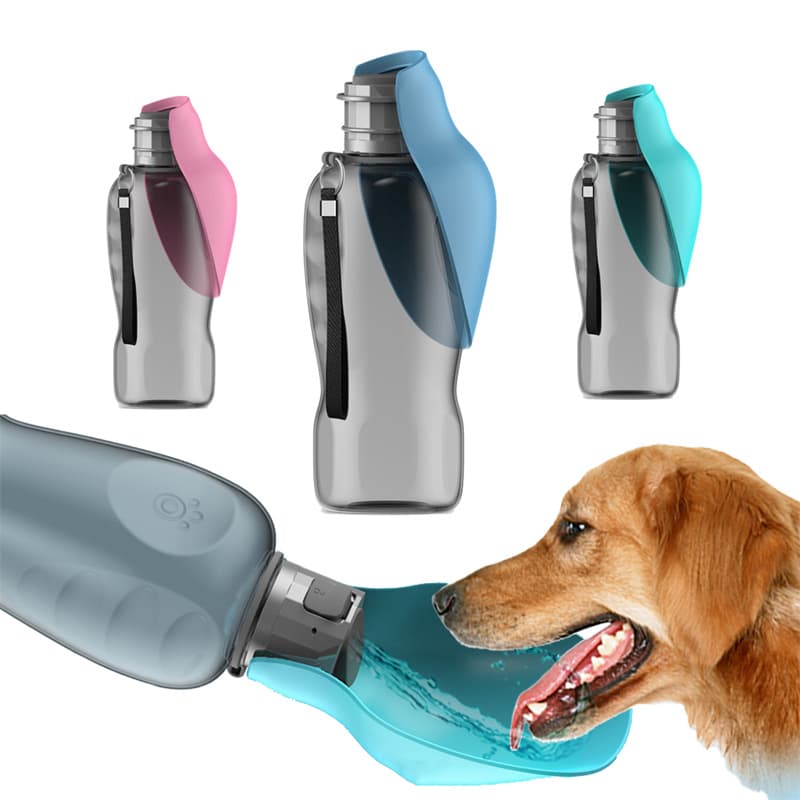 800ml Portable Pet Water Bottle with Foldable Bowl
