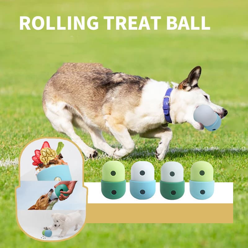 2-in-1 Silicone Dog Toy Ball