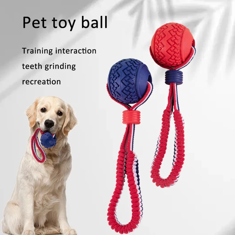 Interactive Dog Chew Toy Ball with Rope