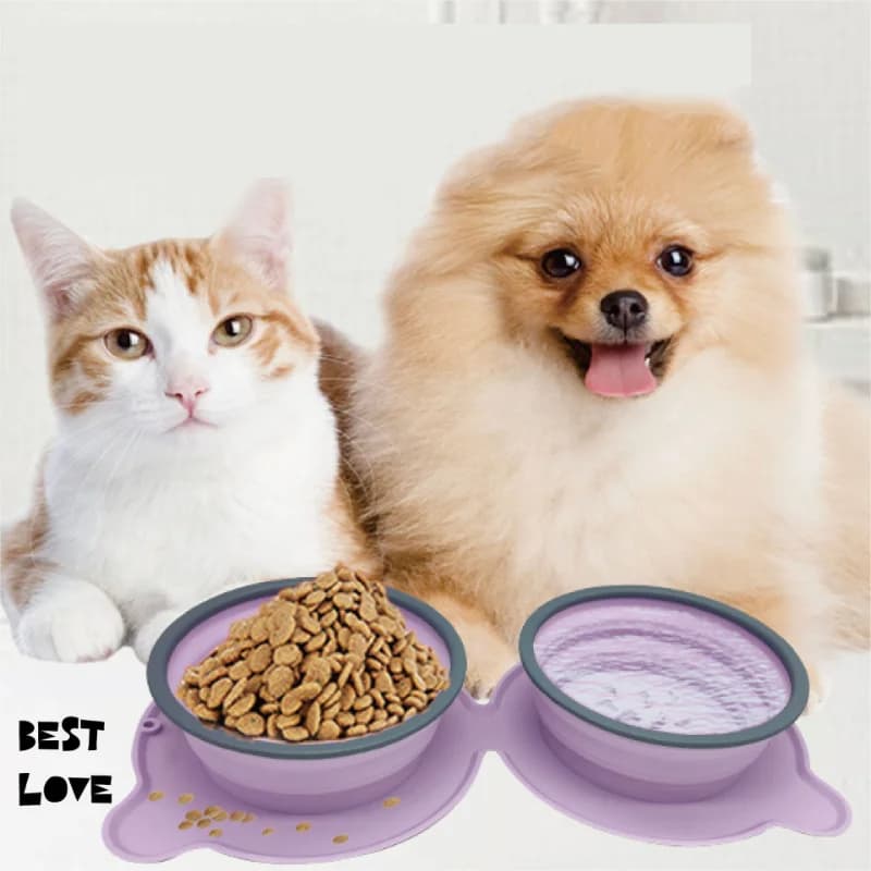 Portable Silicone Double Pet Food Bowl