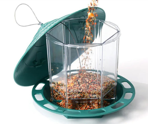 Automatic Outdoor Bird Feeder