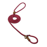 Nylon Dog Collar and Leash Set