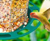 Automatic Outdoor Bird Feeder